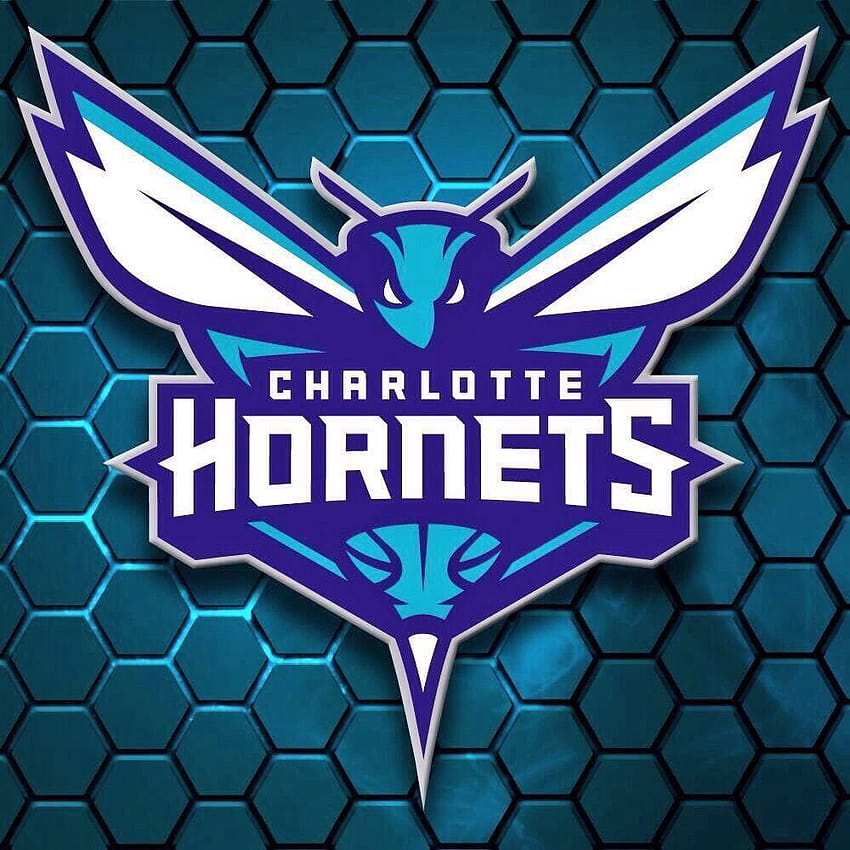 Novas camisas do Charlotte Hornets, charlotte hornets 2017 Papel de parede de celular HD