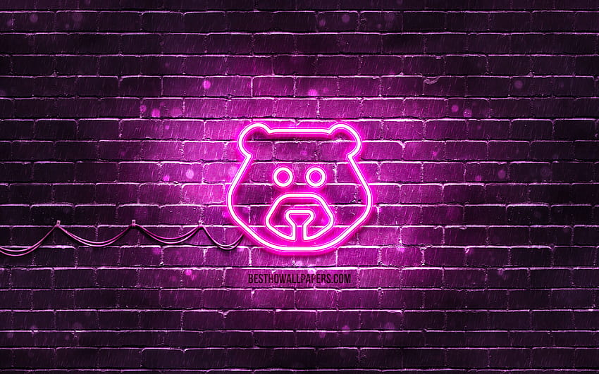 Icono de neón de oso, morado, símbolos de neón, oso, creativo, iconos de neón, signo de oso, signos de animales, icono de oso, iconos de animales con una resolución de 3840x2400. Oso de neón de alta calidad. fondo de pantalla