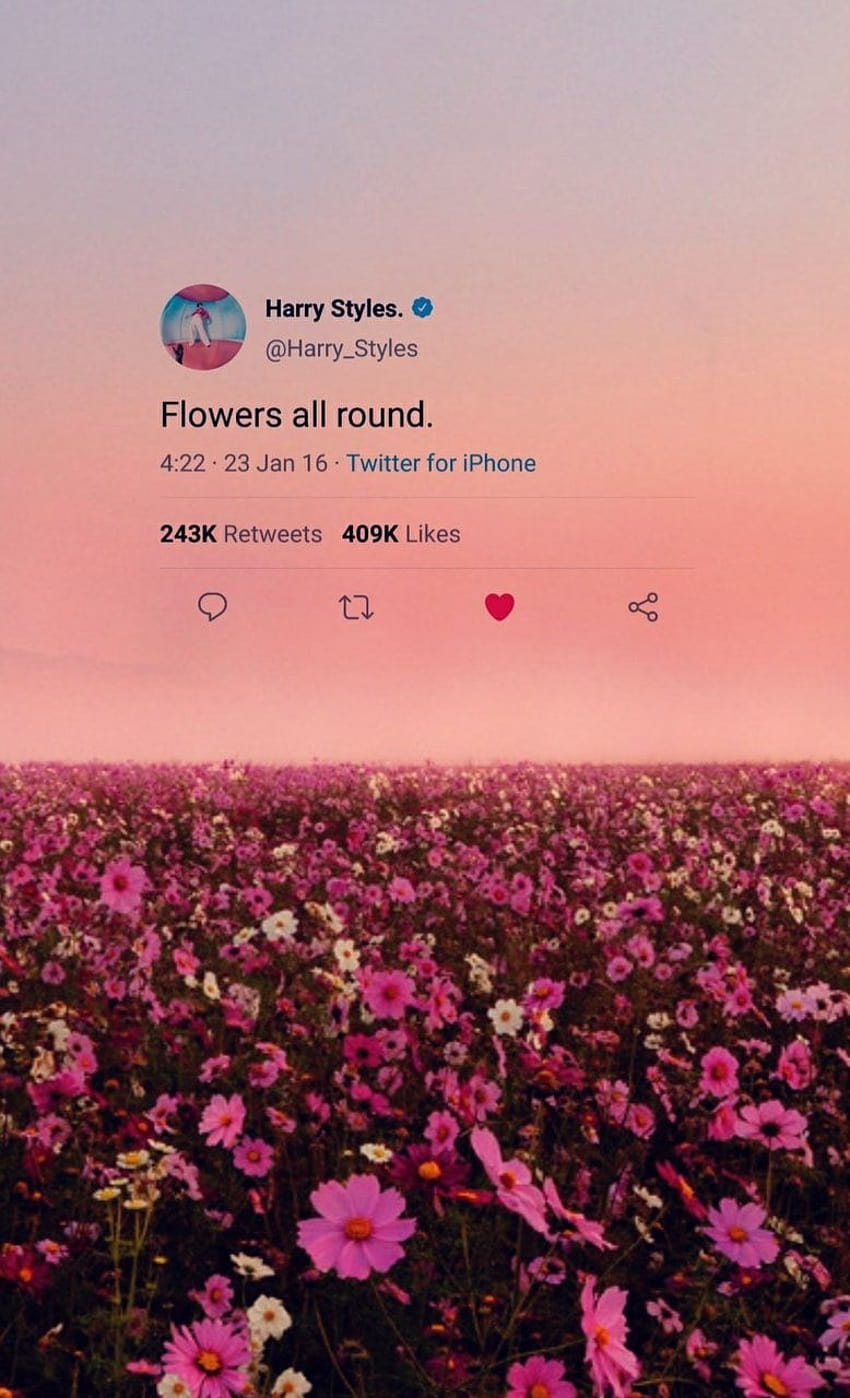 Lista de flores de Harry Styles, harry styles rosa fondo de pantalla del  teléfono | Pxfuel