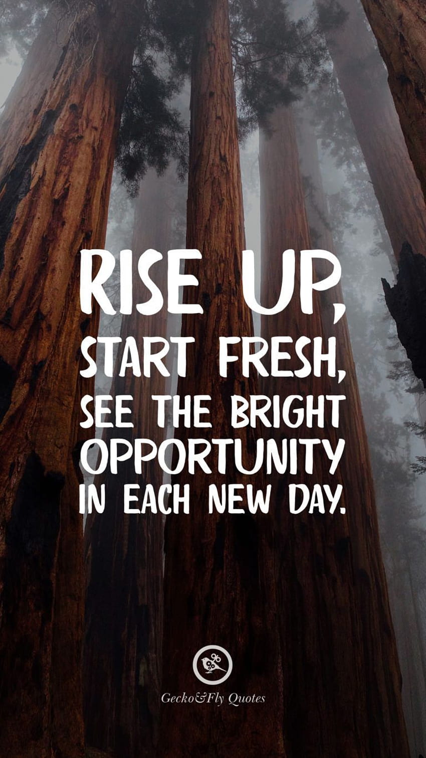 Rise up, start fresh, see the bright opportunity in each new day., start up HD phone wallpaper