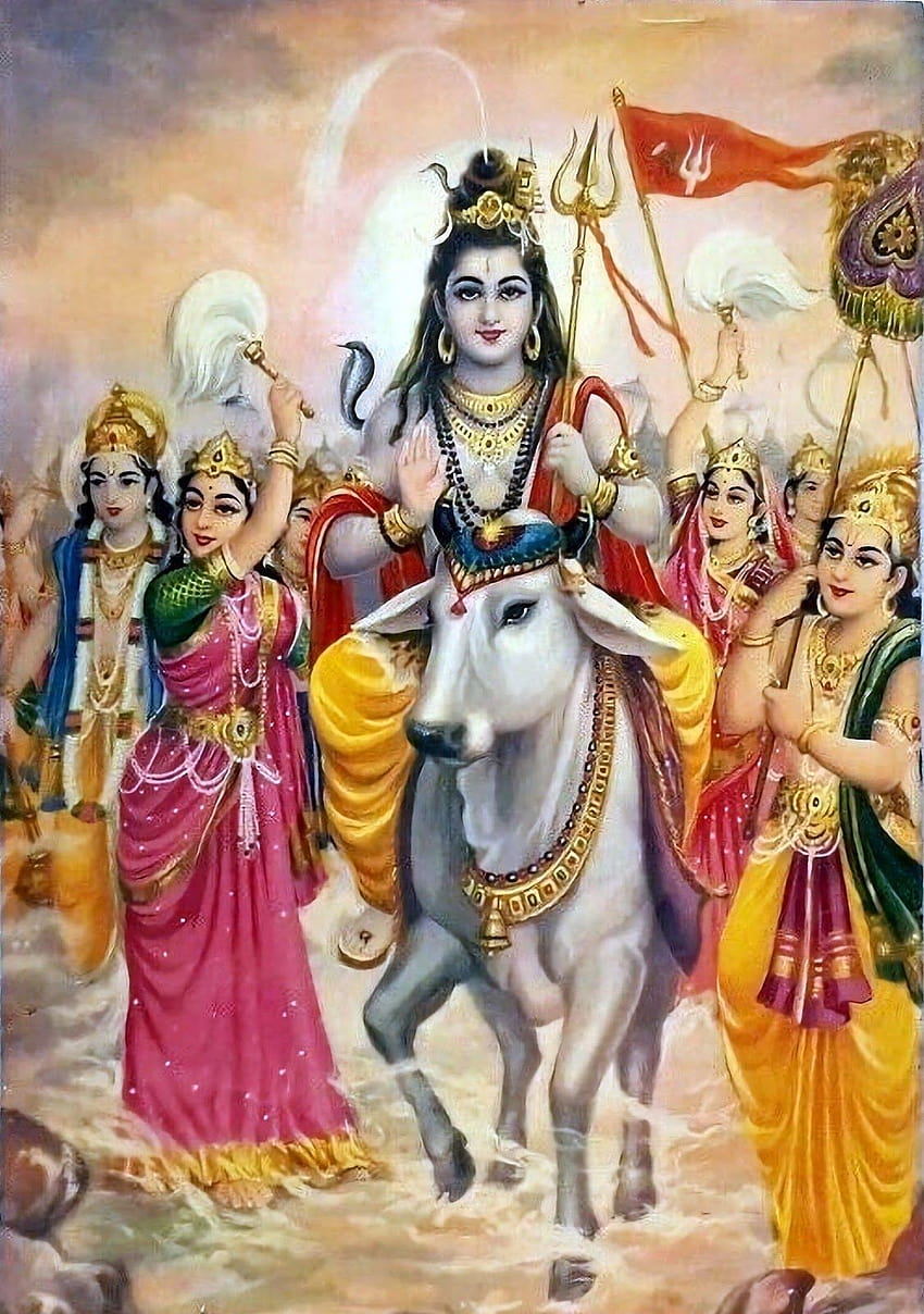 30 Shiva Parvati, ardhnarishwar HD phone wallpaper | Pxfuel