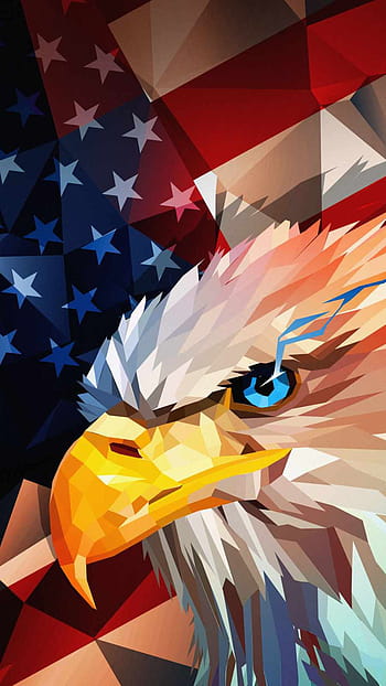 Bald Eagle bald eagle bird wildlife bird of prey HD phone wallpaper   Peakpx