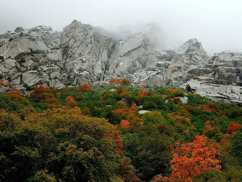 Autumn Mountain Landscape, Green Prosperous Plants, Early Autumn 1600X1200 1600X1200, early autumn mountains HD wallpaper