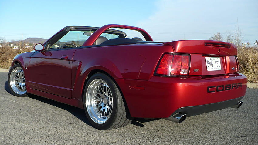 2003 Ford SVT Mustang Cobra Cabrio verwandte Informationen, 2003 Cobra Terminator HD-Hintergrundbild