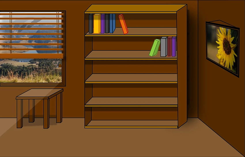 4 Empty Bookshelf, book shelf HD wallpaper