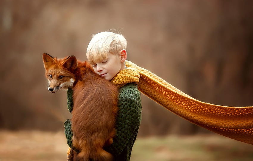 mood, boy, scarf, Fox, red, friends, bokeh, Julia, julia fox HD wallpaper