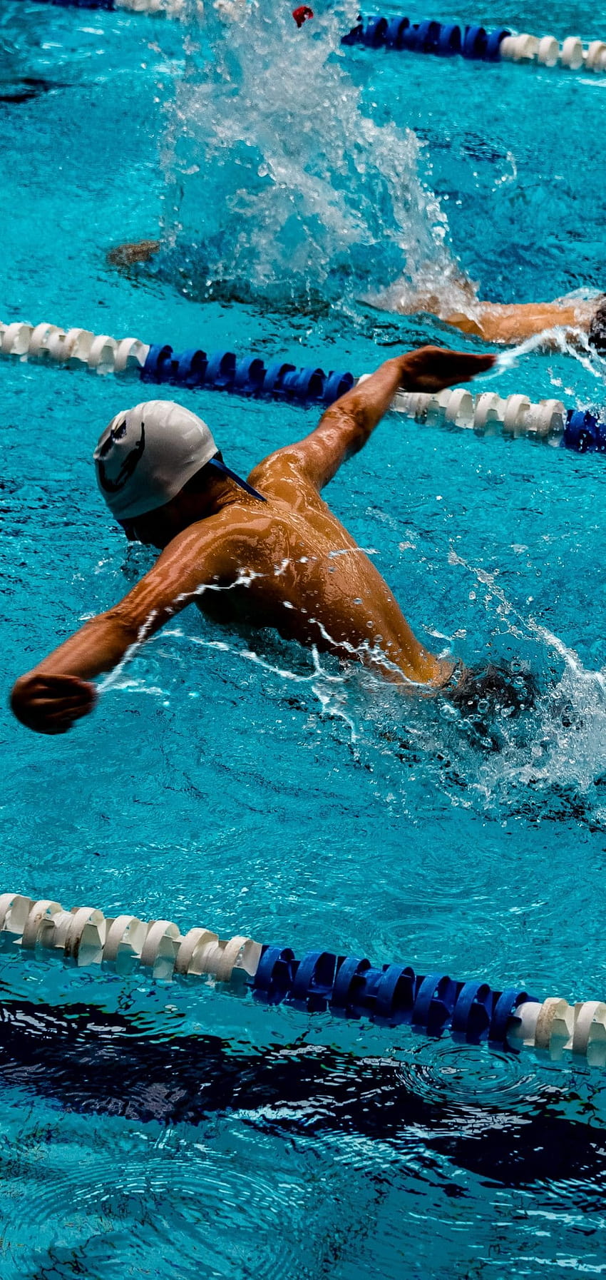 Swimming, natation HD phone wallpaper