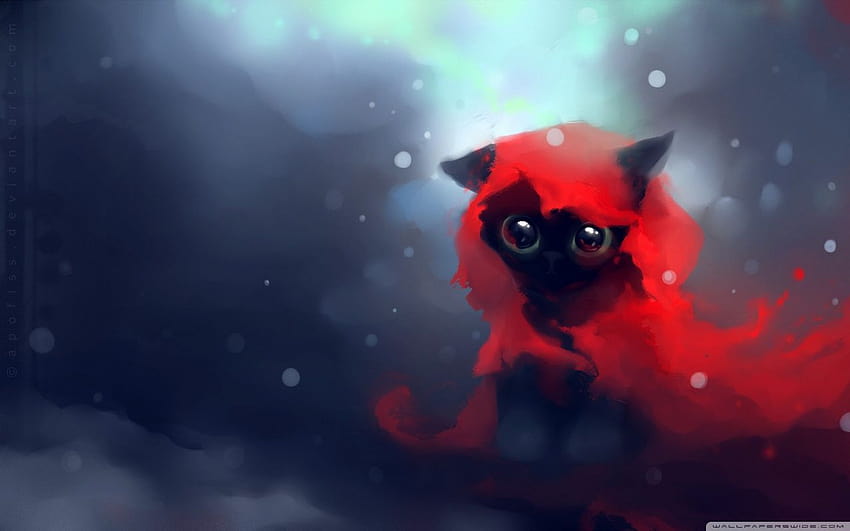 Cats Red Riding Hood Kitty and, space kittens HD wallpaper