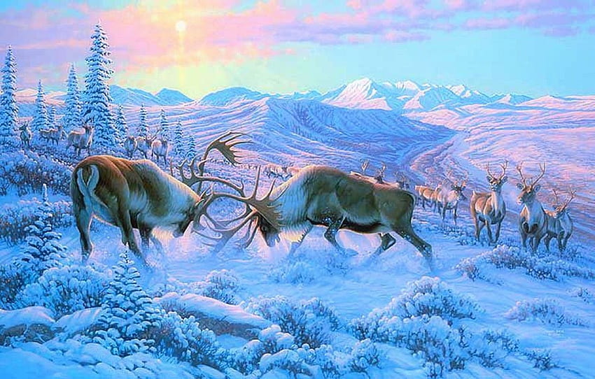 invierno, bosque, animales, nieve, montañas, pelea, cuernos, venado, Pintura, alce, sección живопись, arte de alce fondo de pantalla