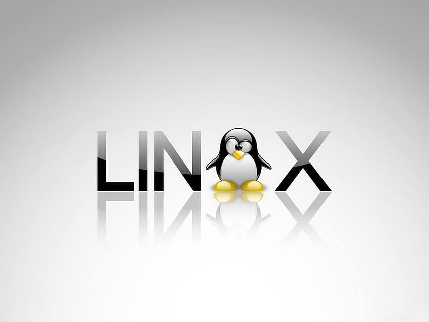 Saatnya mengatasi rasa takut terhadap Linux, kernel Wallpaper HD