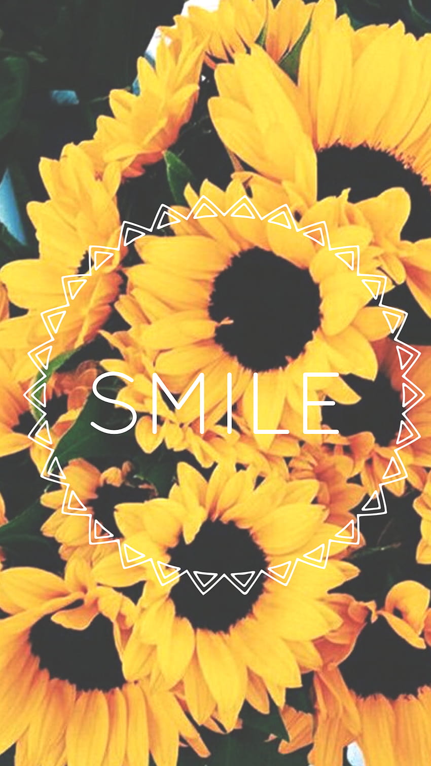 Sunflower backgrounds with quote HD wallpapers | Pxfuel