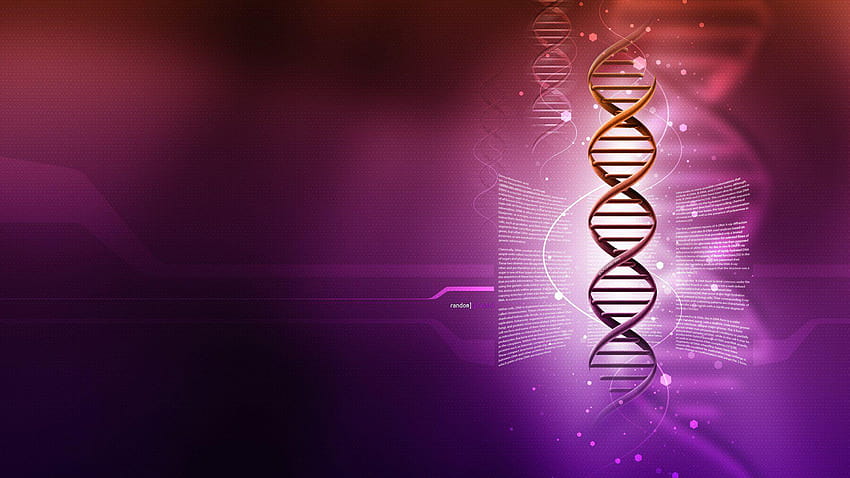 DNAギャラリー、染色体 高画質の壁紙