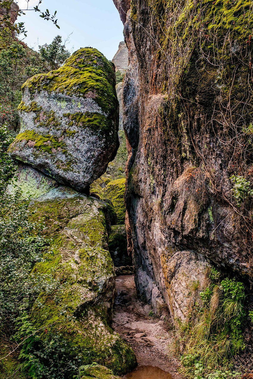 Pinnacles National Park HD phone wallpaper