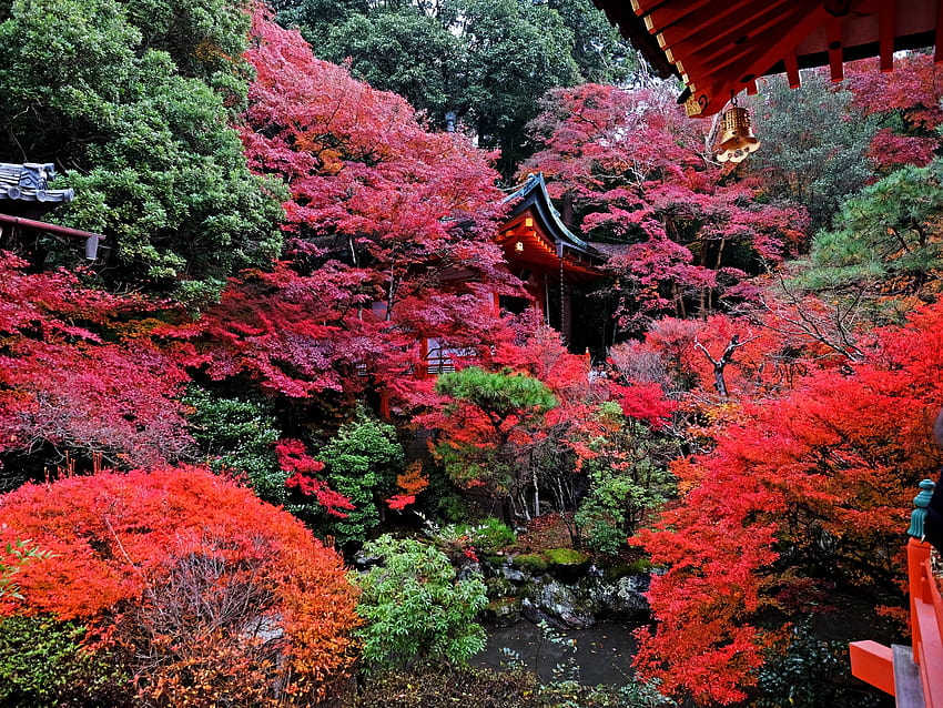 1600x1200 temple, autumn, japan, kyoto, japanese autumn HD wallpaper