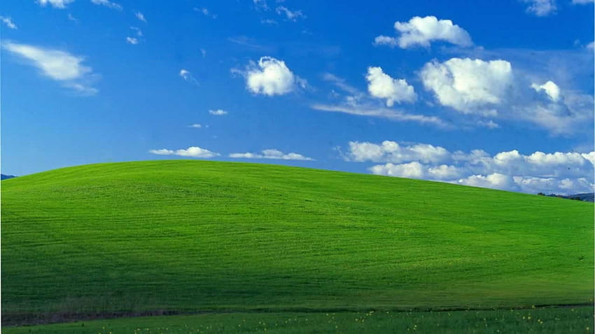 象徴的な Windows XP の背景はソノマ郡の丘の中腹です [1600x900]、モバイル & タブレット、 高画質の壁紙