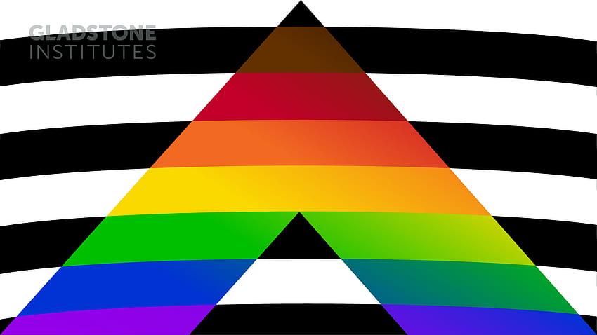Pride Zoom tła, sojusznik LGBT Tapeta HD