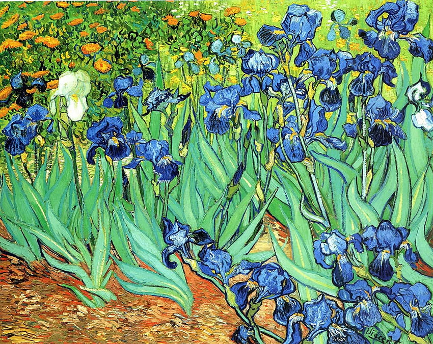Iris, Vincent van Gogh fondo de pantalla