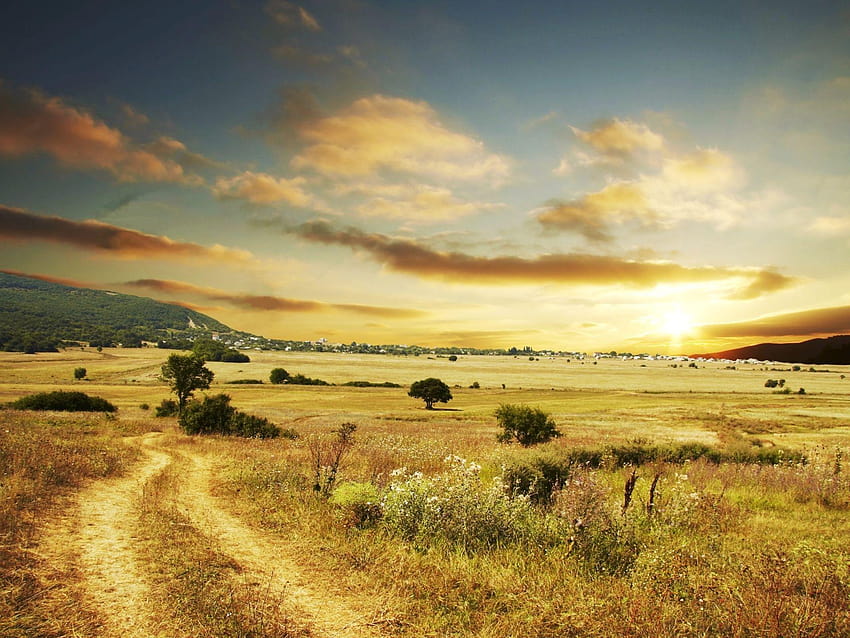 belle route de campagne