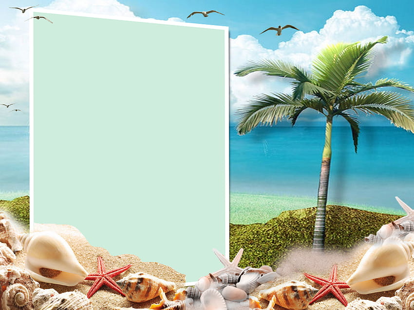 Summer frame PNG HD wallpaper