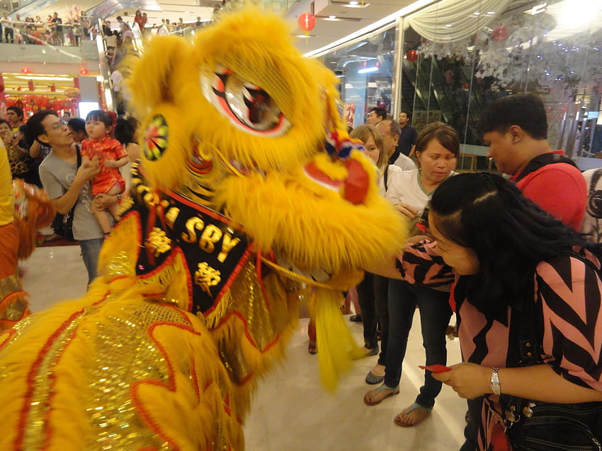 Ksatria Lion and Dragon Dance Barongsai Surabaya Chinese New Year HD wallpaper
