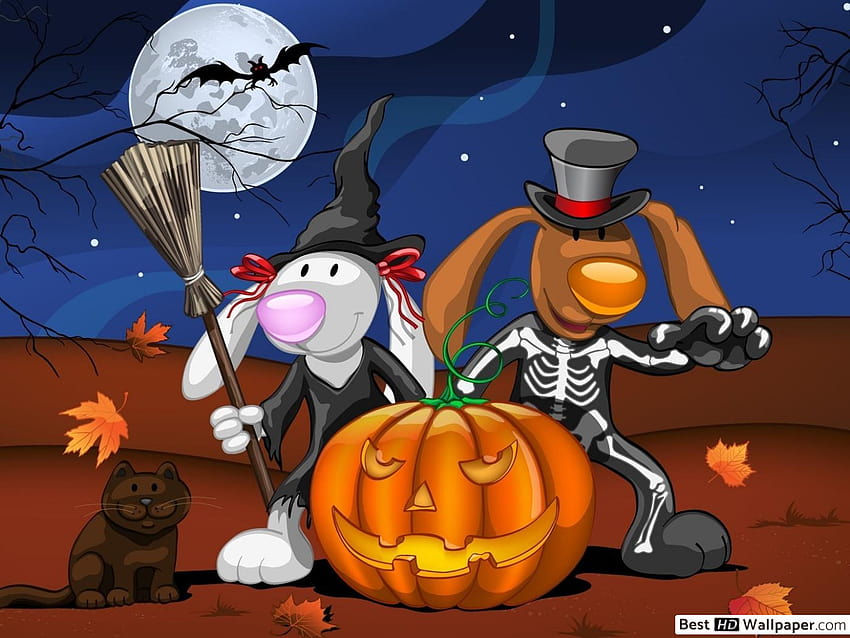 Rabbit witch and dog skeleton, halloween rabbits HD wallpaper
