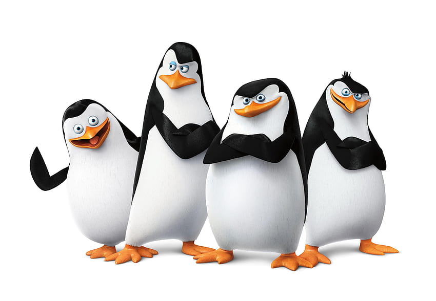 65 Penguins of Madagascar HD wallpaper