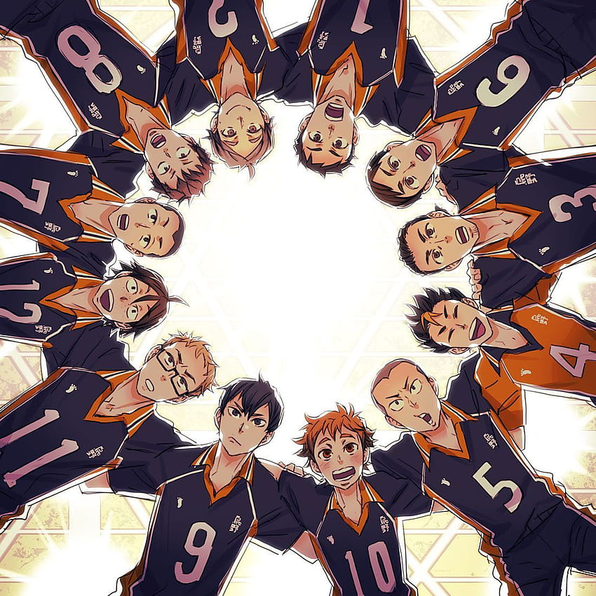 One team, one dream, karasuno high school volleyball club HD phone wallpaper