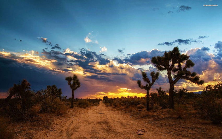 Mojave Desert North America HD Wallpaper | Pxfuel