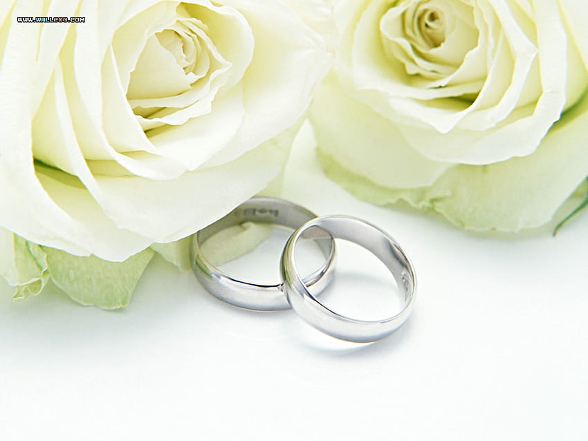 Wedding card ring Stock Photos, Royalty Free Wedding card ring Images |  Depositphotos