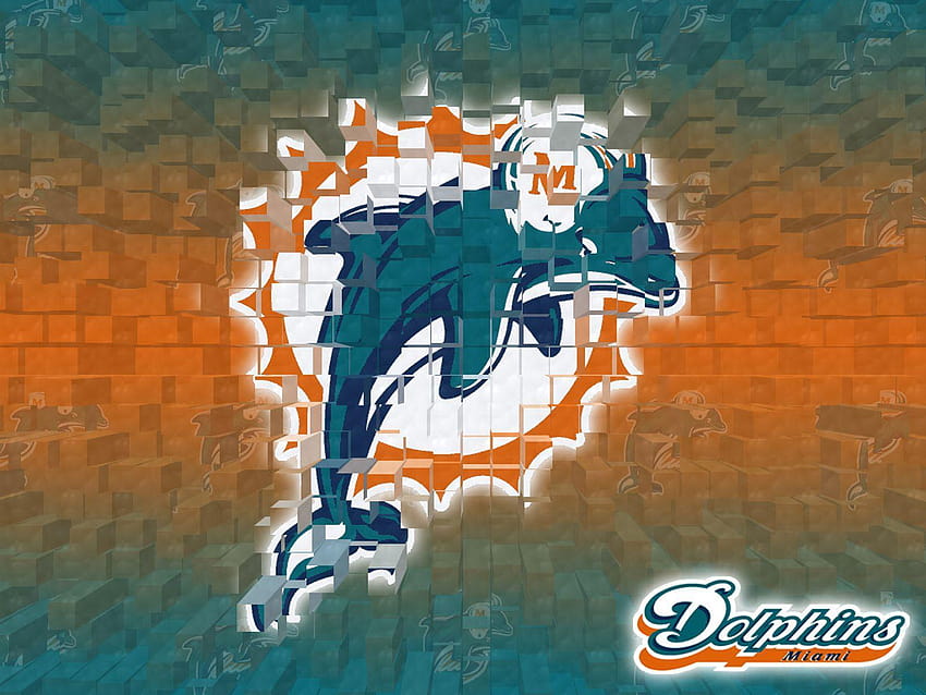 cool miami dolphins background