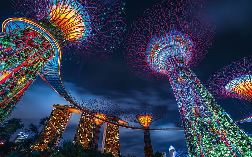 Singapur, Supertree Grove, Marina Bay Sands, tarde, puesta de sol, árboles creativos, Gardens by the Bay, Marina Gardens con una resolución de 1920x1200. Alta Calidad fondo de pantalla