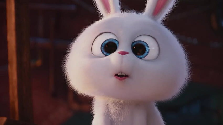 คริสต์มาสโดย Tina Kristina ใน Snowball Secret life of pet, snowball rabbit วอลล์เปเปอร์ HD