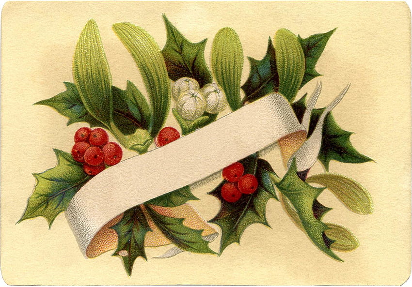Gorgeous Christmas Holly Label!, christmas mistletoe HD wallpaper
