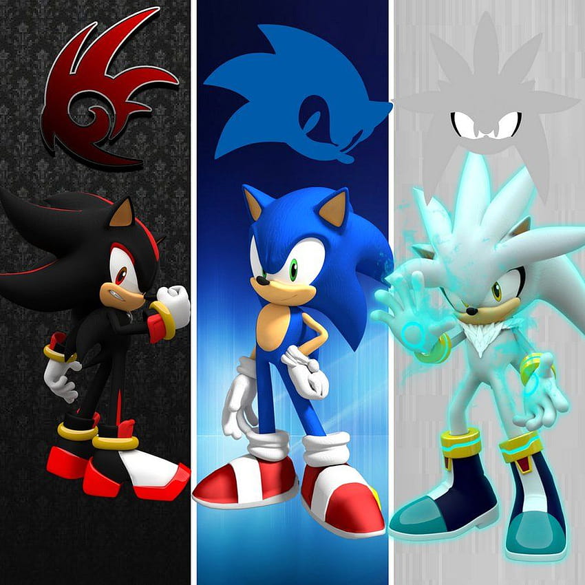 Sonic et Shadow par TheDmgirl, argent sonique Fond d'écran de téléphone HD