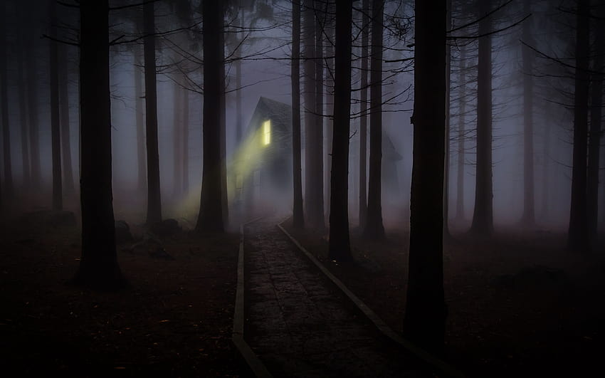 3840x2400 house, forest, fog, creepy, night ultra 16:10 backgrounds, creepy forest HD wallpaper