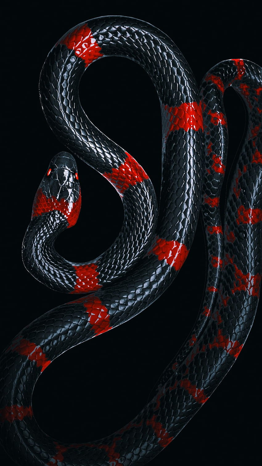 snake art iphone HD phone wallpaper