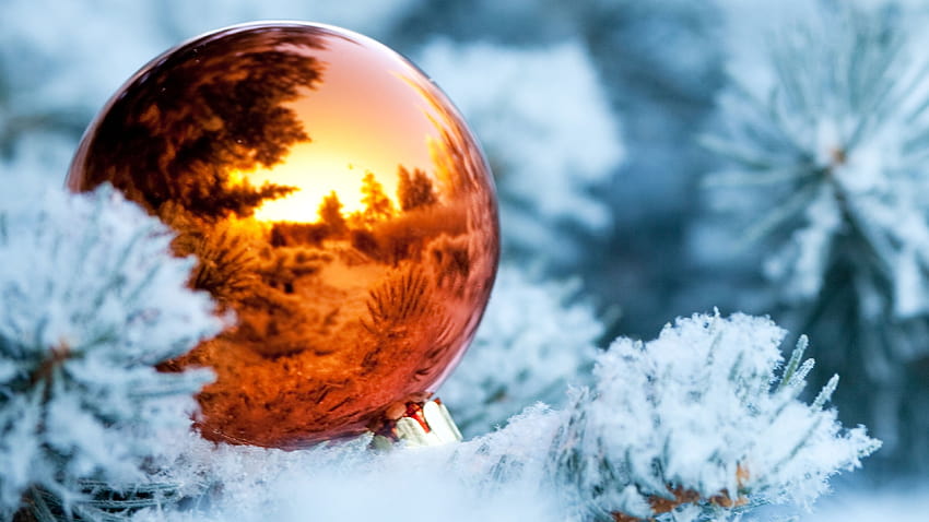 Wonderful Christmas ball on an ice tree, nature balls HD wallpaper