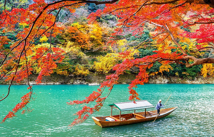 jesień, liście, drzewa, Park, Japonia, Kioto, natura, park, jesień, jezioro, liście, drzewo, Arashiyama , sekcja пейзажи Tapeta HD