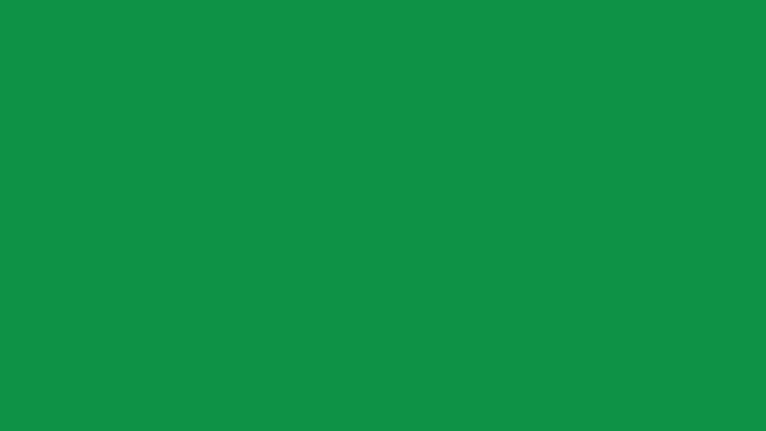 100 Bahar yeşili Vektör, PNG, uçuk yeşil HD duvar kağıdı