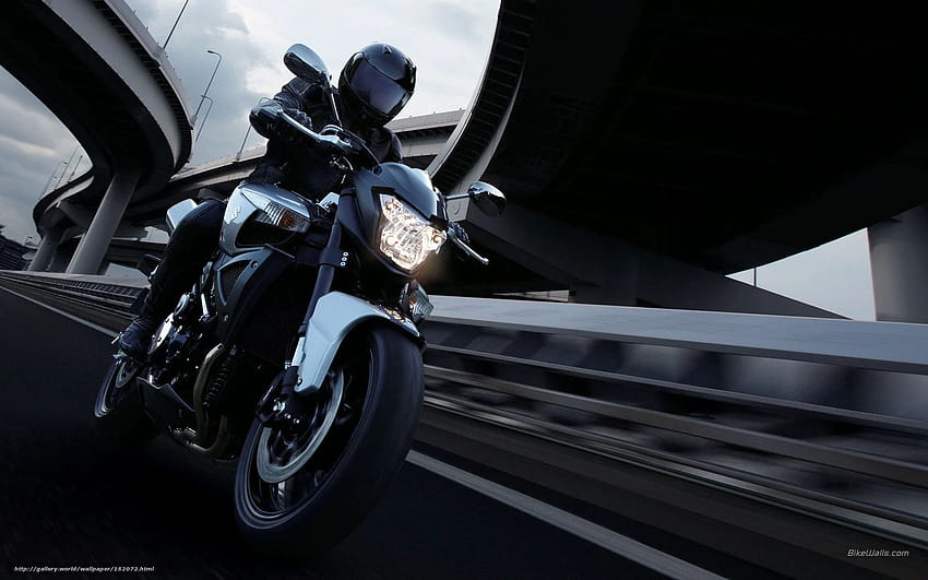 Suzuki, Traditional, B, Suzuki B King HD Wallpaper | Pxfuel