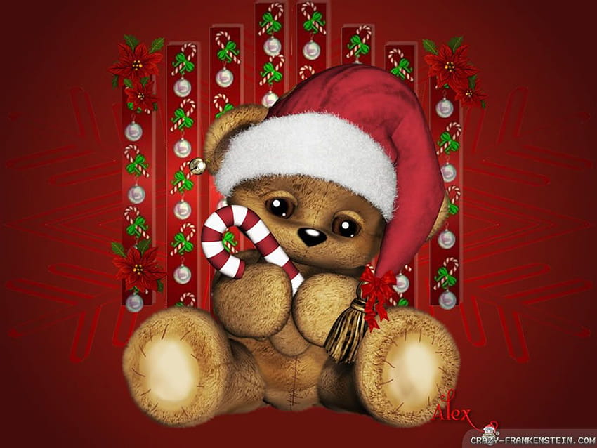 Christmas Bear, bears christmas HD wallpaper | Pxfuel