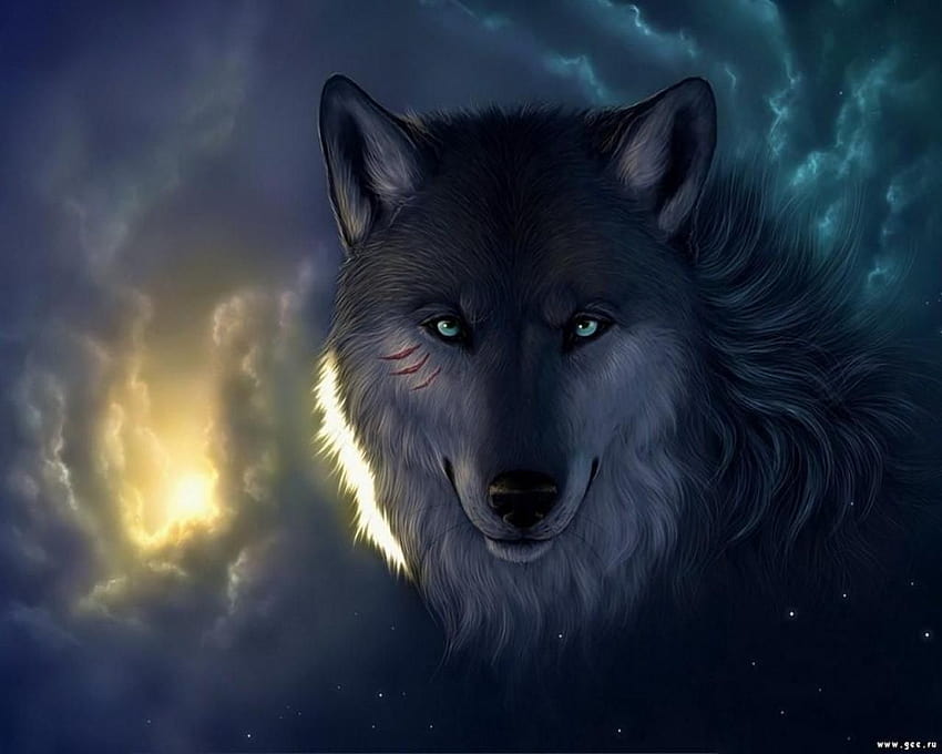 Wolf Gallery, wild wolf HD wallpaper | Pxfuel