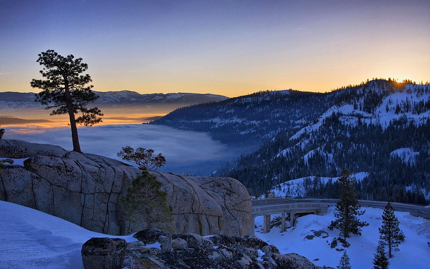 Pine Tree At Sunrise Above A Foggy Donner Lake In California, sunrise over california HD wallpaper