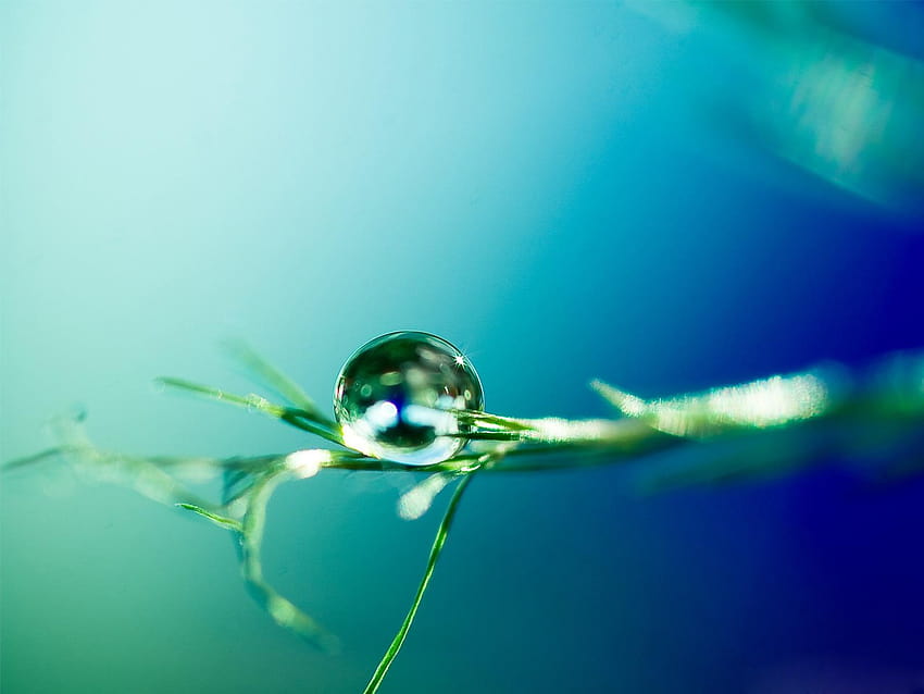 Drop Water Gallery Drops Of Water Hd Wallpaper Pxfuel