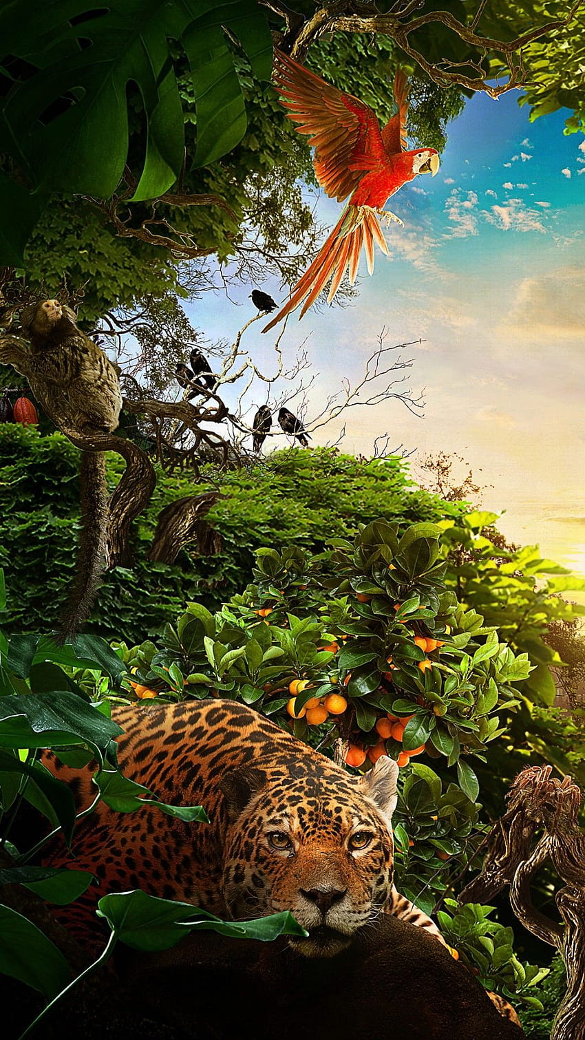 20 Jungle iPhone, wildlife animal HD phone wallpaper