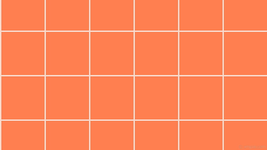 Esthétique orange pastel sur chien, horizontal esthétique coloré Fond d'écran HD