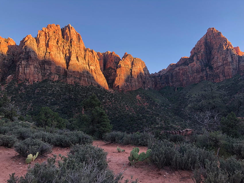 17 Insider Things to Know Before Traveling in Zion National Park, zion ...