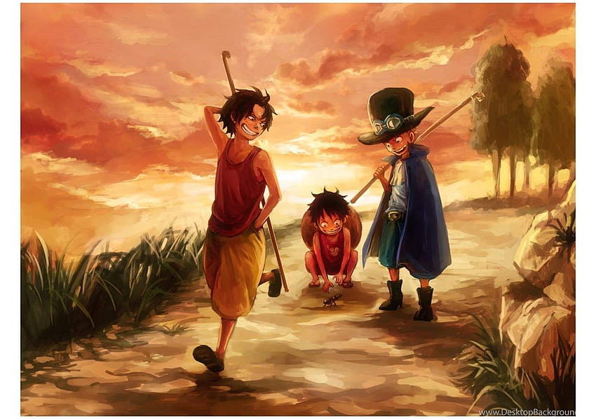 Luffy, Ace And Sabo One Piece Backgrounds Hd Wallpaper | Pxfuel