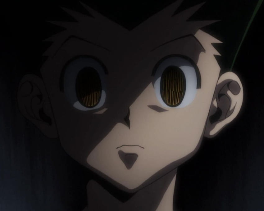 Hunter x Hunter Gon css Angry Favorite anime [1920x1080] for your , Mobile & Tablet HD wallpaper