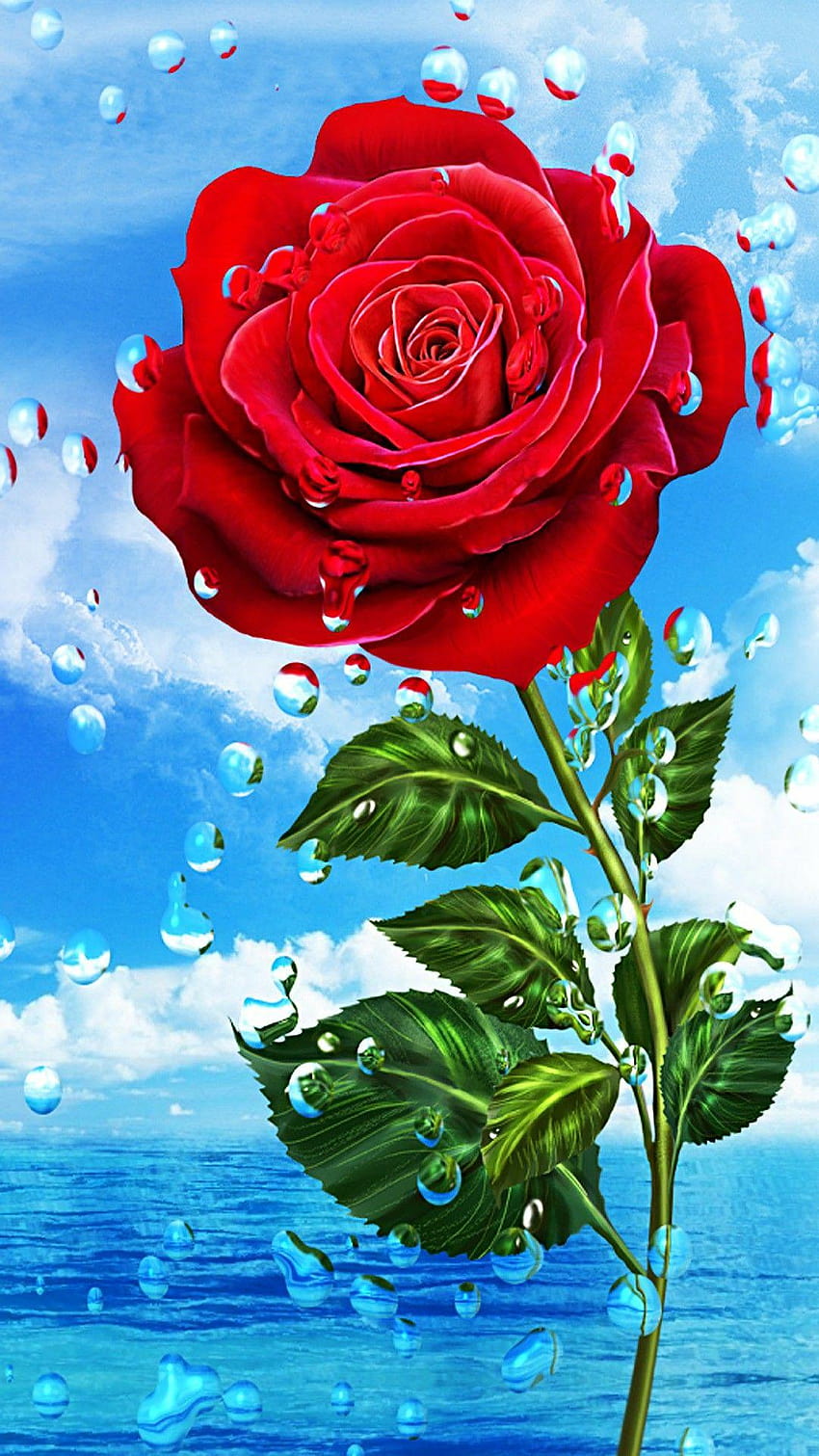 Rosenlilie, rote Rosenblume, meine Blume, rote Rosen, blumig, Rosentelefon HD-Handy-Hintergrundbild